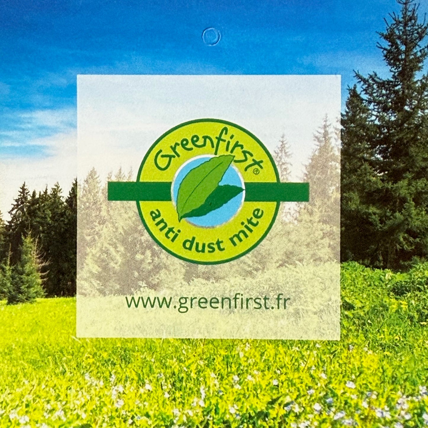 Fazzini Federa copriguanciale antiacaro greenfirst art. Antiacaro Greenfirst