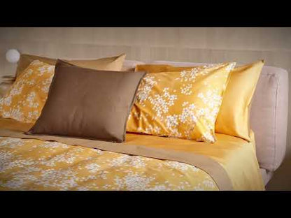 Fazzini Complete Single and a Half Bed Sheets French Size Maxi in Pure Cotton Percale with White Lacquer Overprint art Kimono